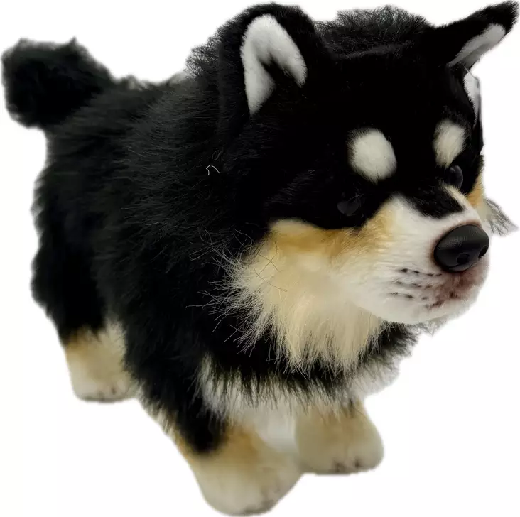 Lapinkoira musta 30cm - Lelut ja pehmolelut - 6430018771922 - 1