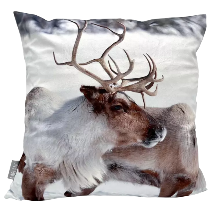 tyynynpaallinenporo - Sisustustuotteet - 6430034967132 - 1