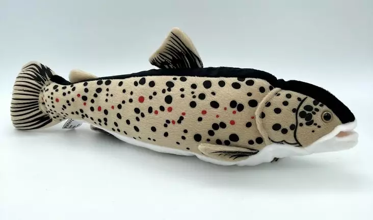 Iso Taimen - Lelut ja pehmolelut - 4028667113495 - 1