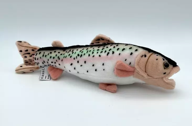 Pieni Kirjolohi

 - Lelut ja pehmolelut - 4028667113488 - 1