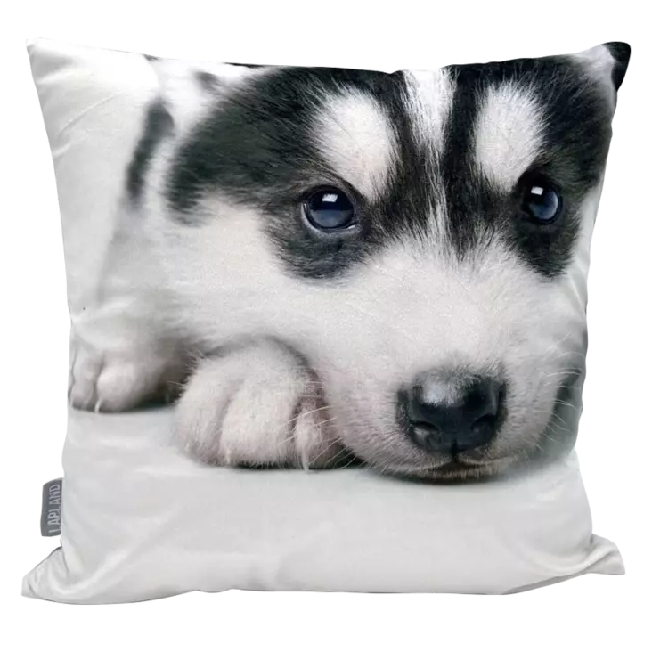 tyynynpaallinenhusky - Sisustustuotteet - 6430034967149 - 1